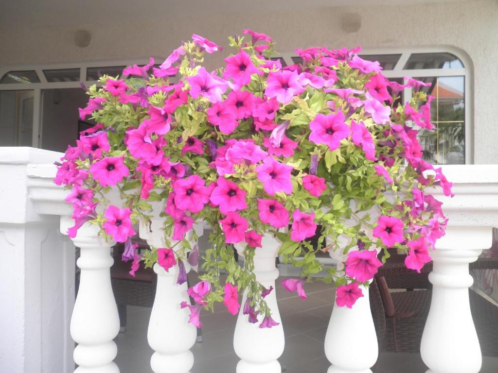 Guest House Katarina มาลินสกา ภายนอก รูปภาพ
